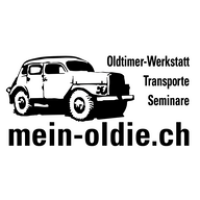 Praxis-Seminar Grundlagen Oldtimer-Elektrik