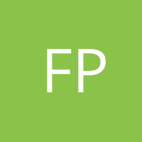 Frank Pressmann
