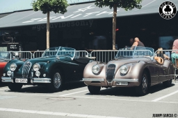 Jaguar Meet